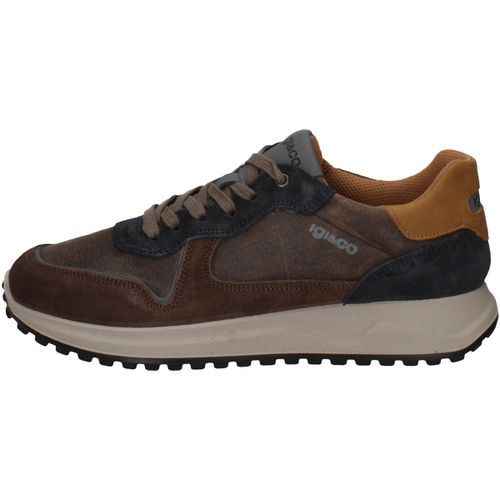 Sneakers IgI&CO 66385/11 - IgI&CO - Modalova