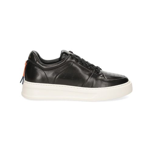 Sneakers Phoenix BD1200A pelle nera - Barracuda - Modalova