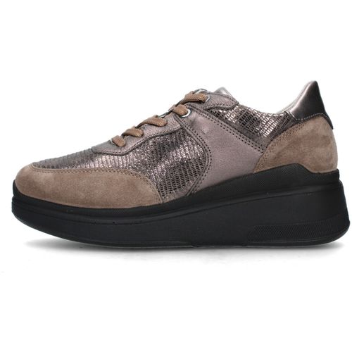 Sneakers basse IgI&CO 6654311 - IgI&CO - Modalova