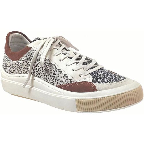 Sneakers basse Shelter Mon005 - Shelter - Modalova