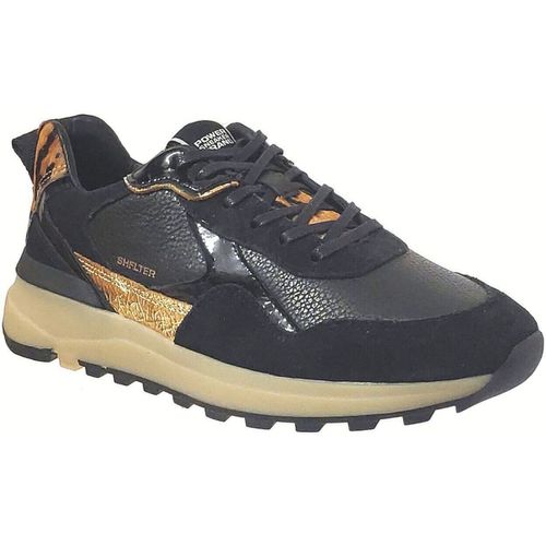 Sneakers basse Shelter Ret011 - Shelter - Modalova