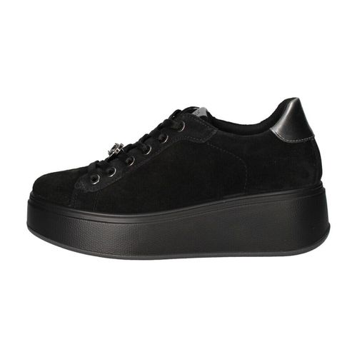 Sneakers basse IgI&CO 6672211 - IgI&CO - Modalova