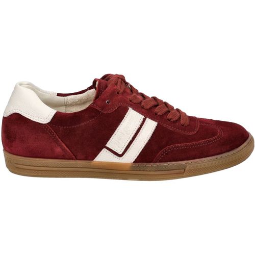 Sneakers basse Paul Green Sneakers - Paul green - Modalova