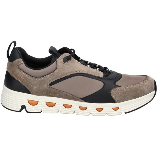 Sneakers Geox Sneakers - Geox - Modalova