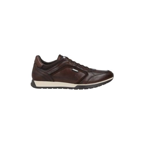 Sneakers CAMBIL M5N-6247C1 - Pikolinos - Modalova