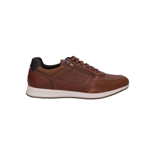 Sneakers Geox U46H5A 0EKPT U AVERY - Geox - Modalova