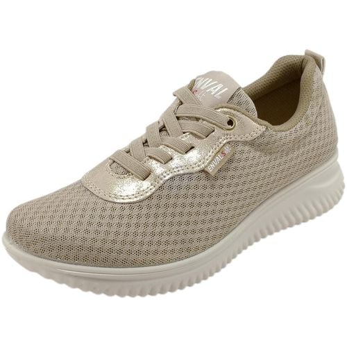 Sneakers basse Sneakers Donna 5764733 - Enval - Modalova