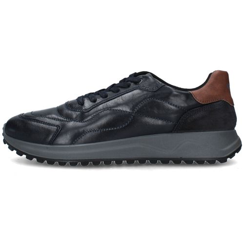 Sneakers IgI&CO 6638411 - IgI&CO - Modalova