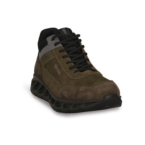 Stivali IgI&CO SANTOS GTX - IgI&CO - Modalova