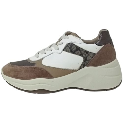 Scarpe IgI&CO Sneakers Donna - IgI&CO - Modalova