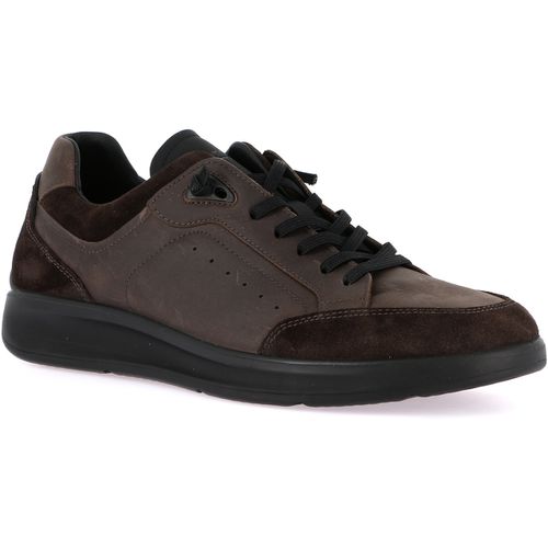 Sneakers Grunland DSG-SC4315 - Grunland - Modalova