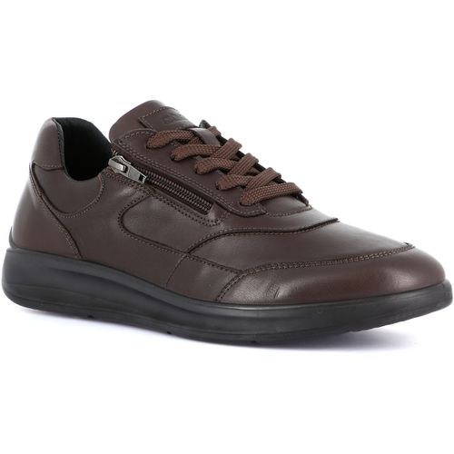 Sneakers Grunland DSG-SC4310 - Grunland - Modalova