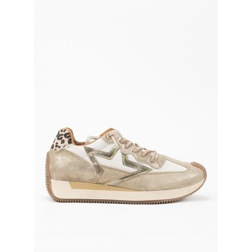 Sneakers basse Cetti 34997 - Cetti - Modalova