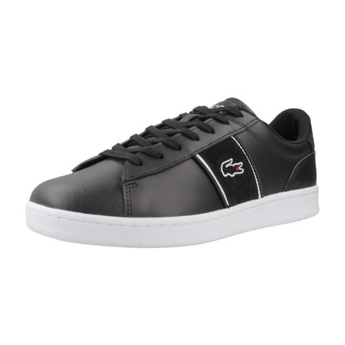 Sneakers Lacoste CARNABY SET CGR - Lacoste - Modalova