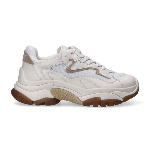 Sneakers basse sneaker Addict bianca beige - Ash - Modalova