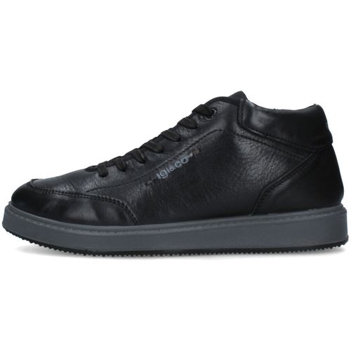 Sneakers IgI&CO 6645700 - IgI&CO - Modalova