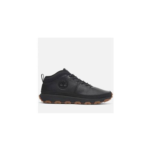 Sneakers Sneaker Stringata Winsor Uomo - Timberland - Modalova