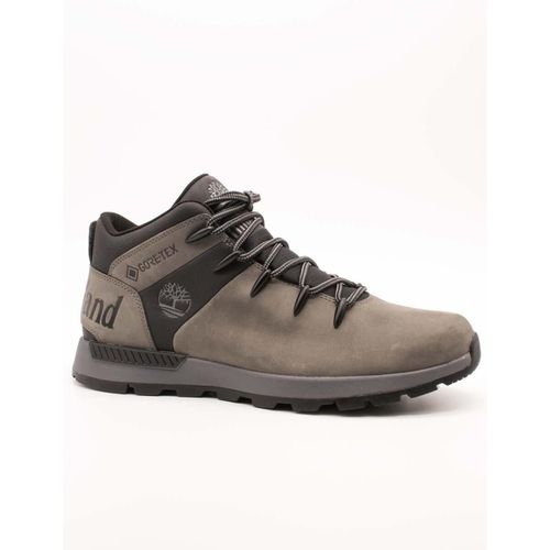 Sneakers alte Timberland - Timberland - Modalova