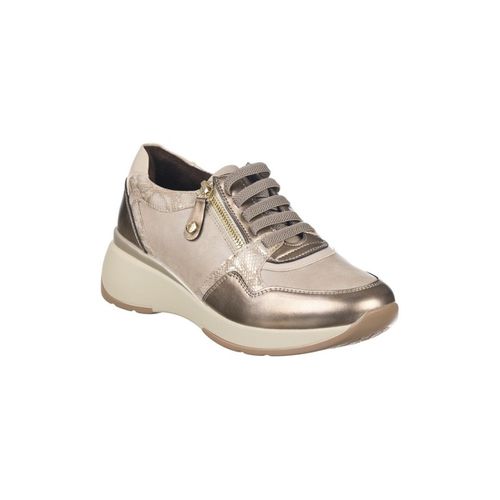 Sneakers basse Zapp SNEAKERS 542 - Zapp - Modalova