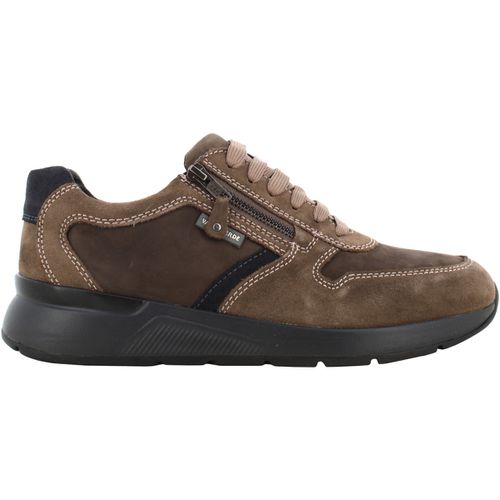 Stivaletti uomo sneakers 36842 TORTORA - Valleverde - Modalova