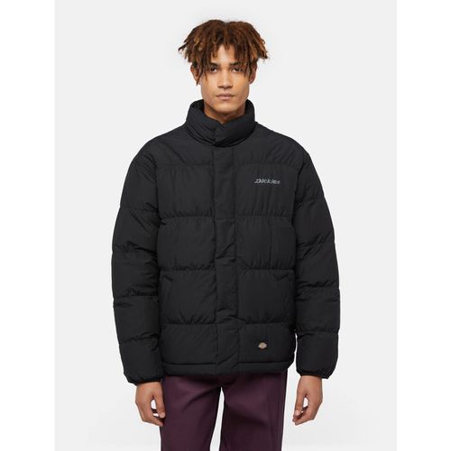 Giacche SCOBEY PUFFER - DK0A4Z34BLK1-BLACK - Dickies - Modalova