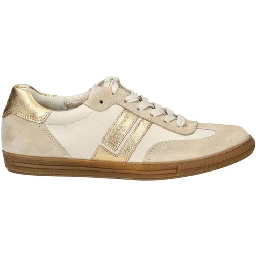 Sneakers basse Paul Green Sneakers - Paul green - Modalova