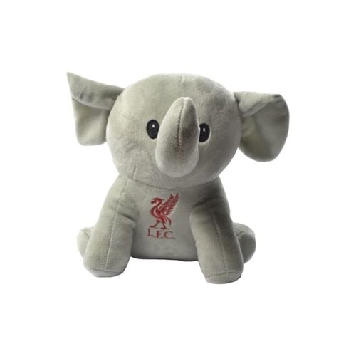 Accessori sport BS4553 - Liverpool Fc - Modalova