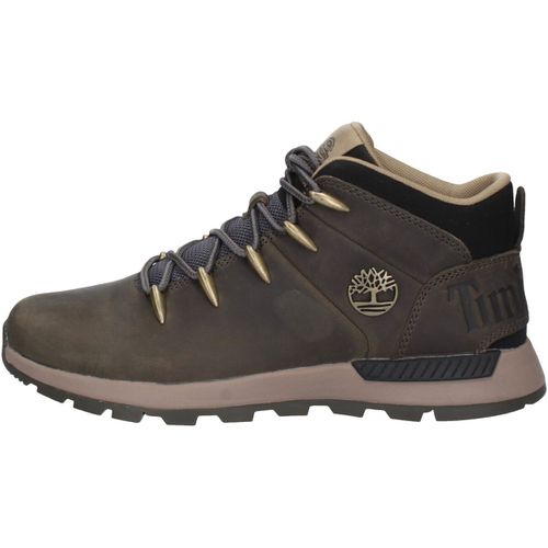 Scarpe da trekking TB0A6DQDEL7 - Timberland - Modalova