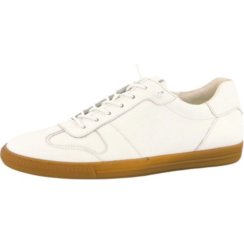 Sneakers basse Paul Green Sneakers - Paul green - Modalova