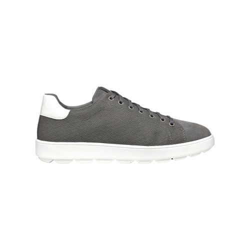 Sneakers U Spherica ECUB-1 sneaker - Geox - Modalova