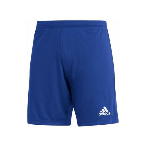 Pantaloni corti adidas HG6294 - Adidas - Modalova