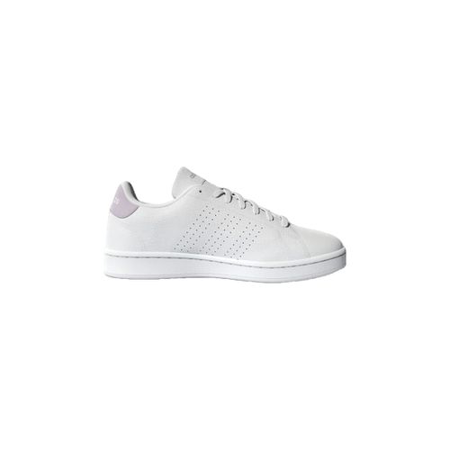 Sneakers adidas Advantage - Adidas - Modalova