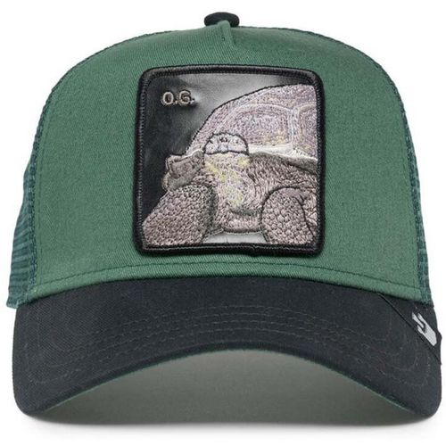 Cappelli The OG Tortoise - Goorin Bros - Modalova