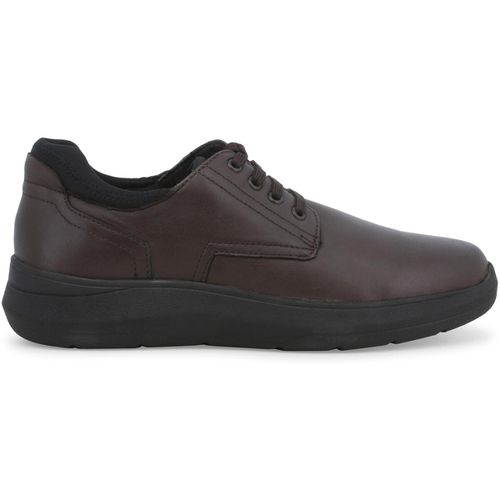 Sneakers Melluso U55351W-238411 - Melluso - Modalova