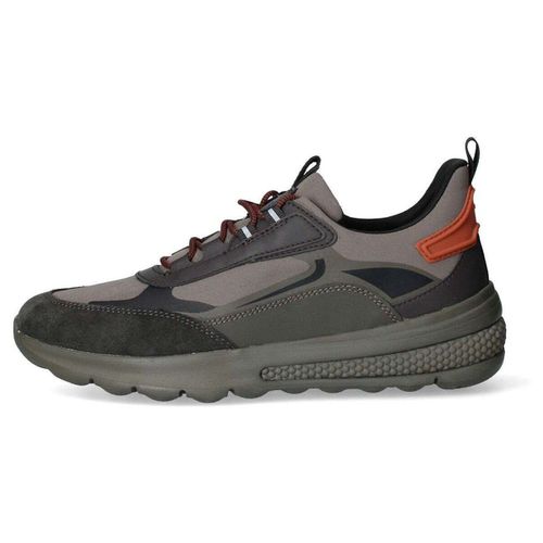 Sneakers Geox 51528954642762 - Geox - Modalova