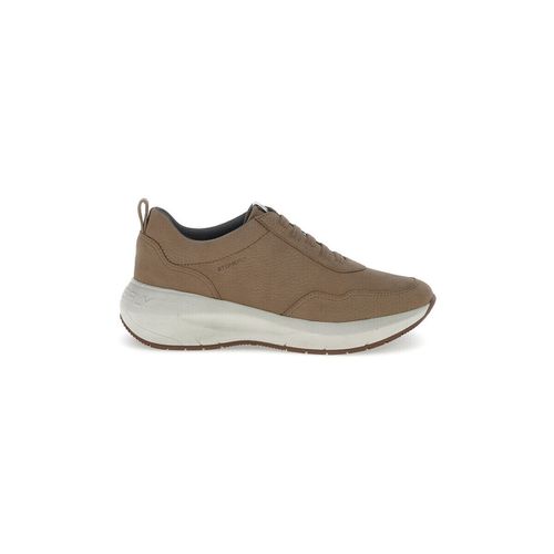 Sneakers sneakers donna Twins 1 in nabuk brown 221619 - Stonefly - Modalova