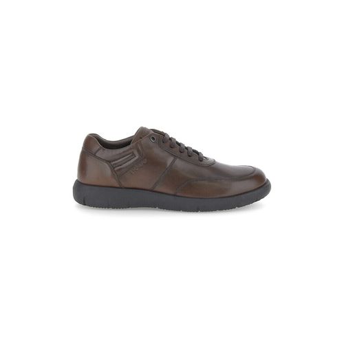 Sneakers sneakers uomo Stream 33 in pelle 221656 - Stonefly - Modalova