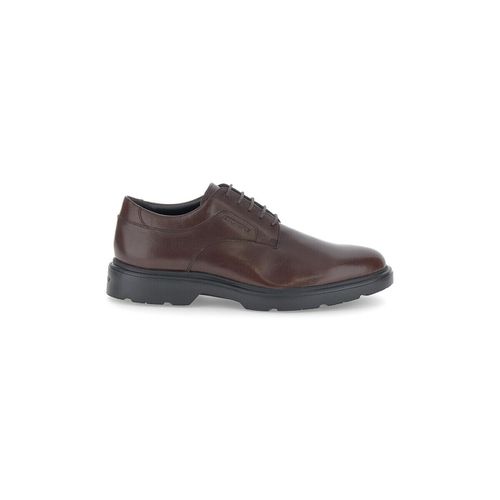 Sneakers stringate uomo Forever 2 in pelle brown 221669 316 - Stonefly - Modalova