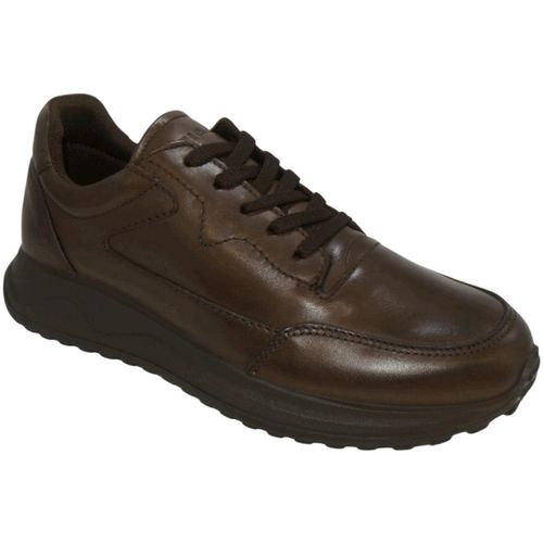 Sneakers basse IGI;CO VITELLO TESTA DI M 6638811 - IgI&CO - Modalova