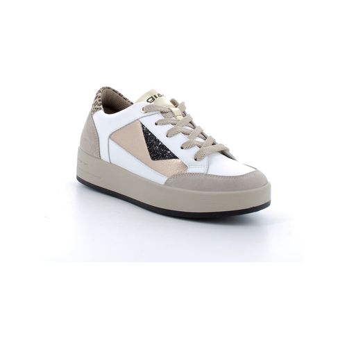 Sneakers IgI&CO 6668522 - IgI&CO - Modalova