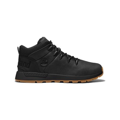 Scarpe da trekking TB0A6DQDELK1 - Timberland - Modalova