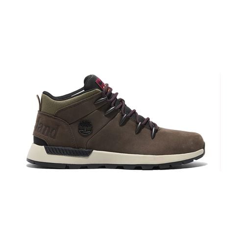 Scarpe da trekking TB0A6DQDW071 - Timberland - Modalova