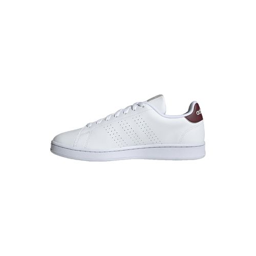 Sneakers adidas Advantage - Adidas - Modalova