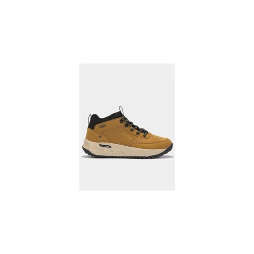 Sneakers SCARPE TER MEN 2426 CAMEL - Joma - Modalova