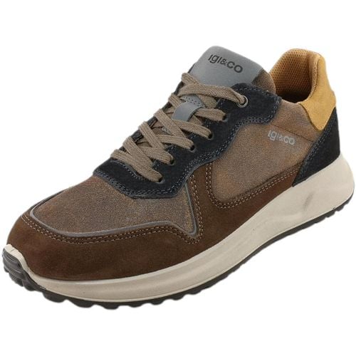 Sneakers Sneakers Uomo 6638511 - IgI&CO - Modalova