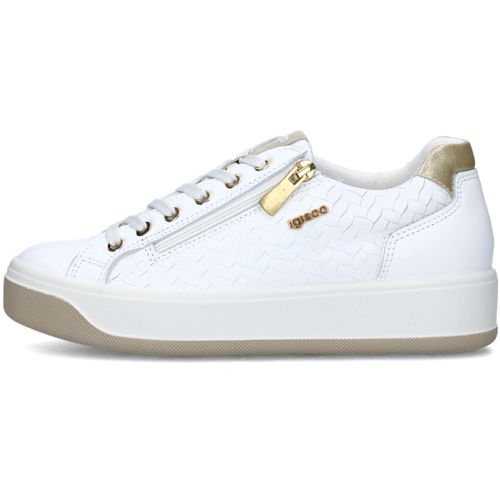 Sneakers basse IgI&CO 7656500 - IgI&CO - Modalova