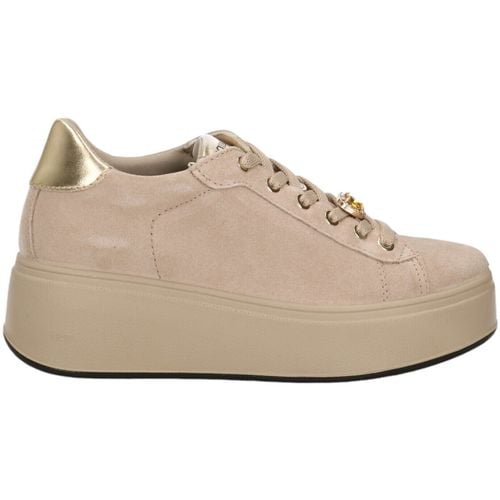 Sneakers basse IgI&CO 6672233 - IgI&CO - Modalova