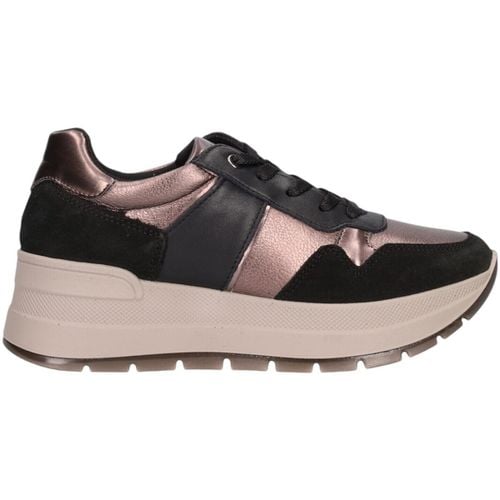 Sneakers basse IgI&CO 6675400 - IgI&CO - Modalova