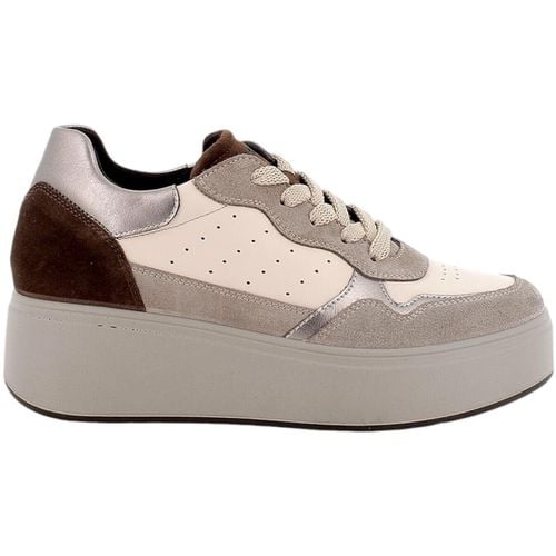 Sneakers basse IgI&CO 6672311 - IgI&CO - Modalova