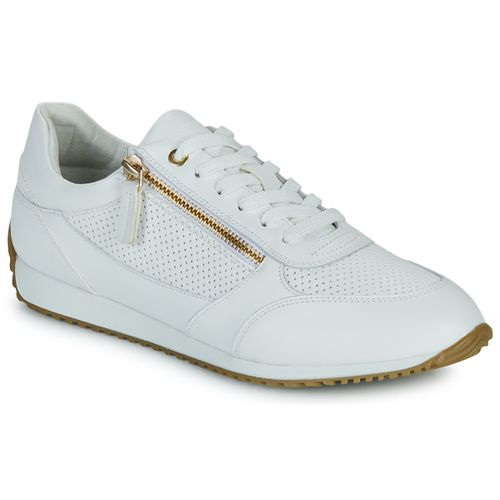 Sneakers basse Geox - Geox - Modalova